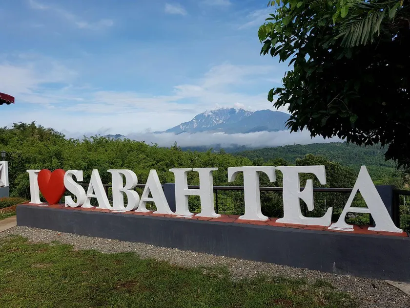 Sabah Tea Resort - Image 1