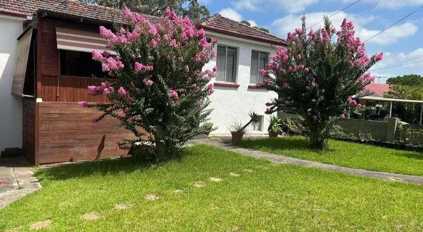 MJED House - Image 1