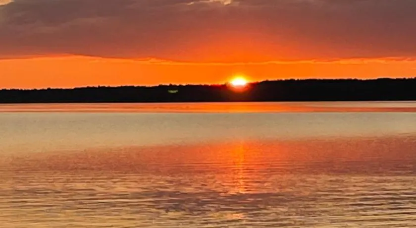 Sjönära stuga - Image 1