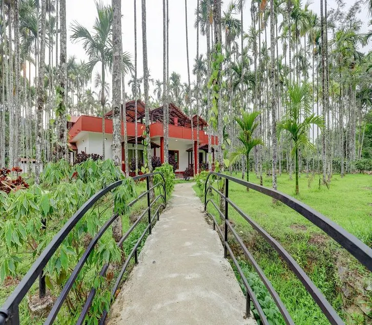 Lazo Areca Resort , Coorg - Image 1