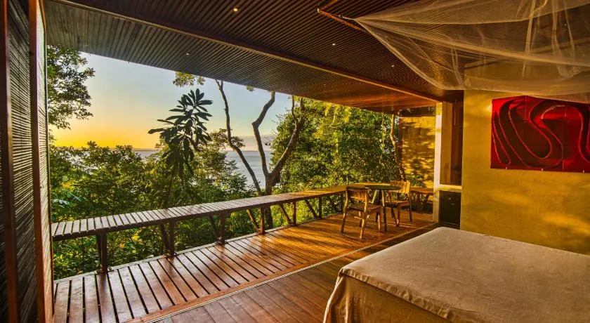 A Casinha da Floresta - Image 1