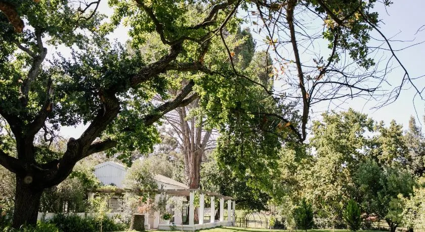 Montpellier de Tulbagh - Image 1