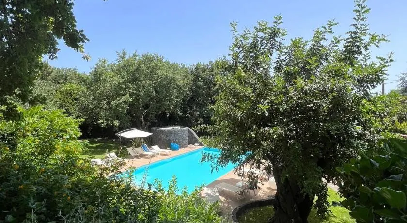 Il carrubo - Image 1