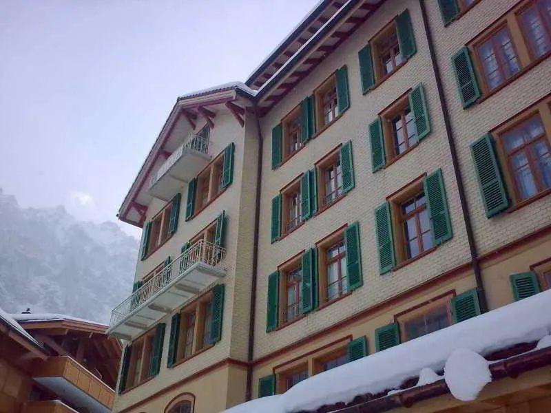 Historic Hotel Falken - Image 1