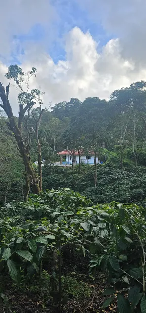 Vintara Homestay - Image 1