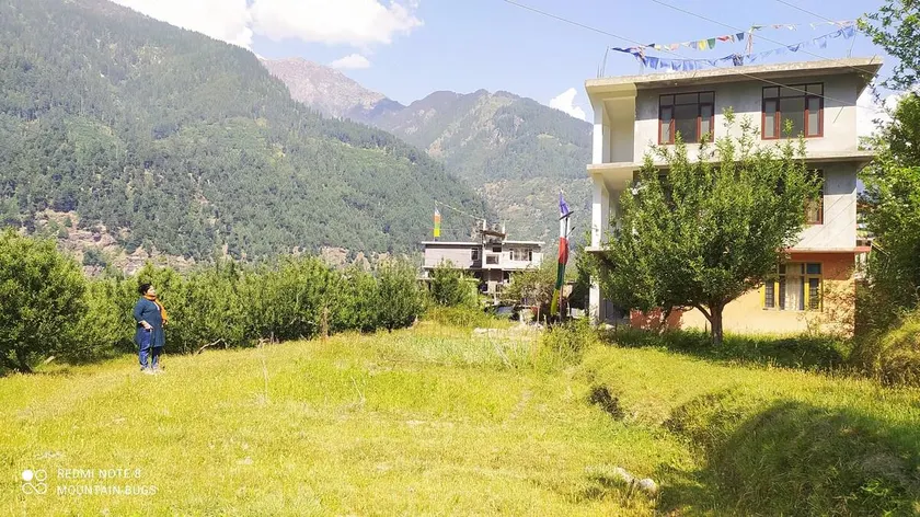 Green Acres Manali - A 2BHK Vacational House - Image 1