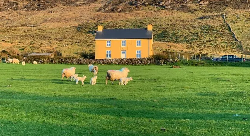 Hidden Hills Waterville - Private Farmhouse - Image 1