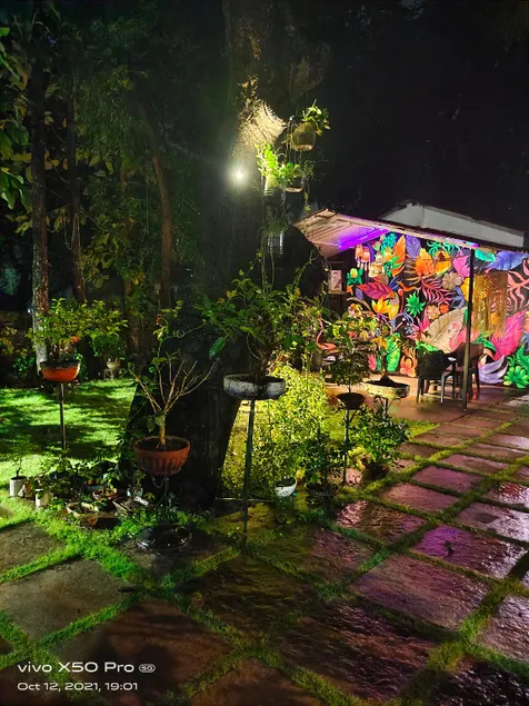 Bonsaiyog - Image 1