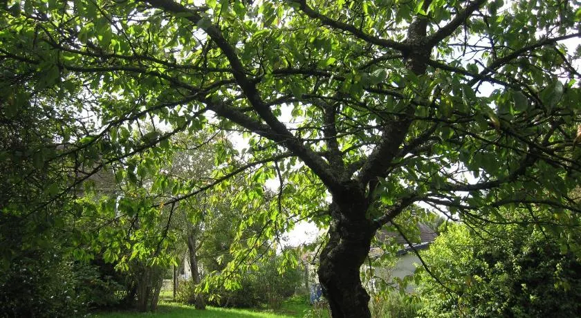 Maison avec grand jardin pour 15 couchages en Normandie - Image 1