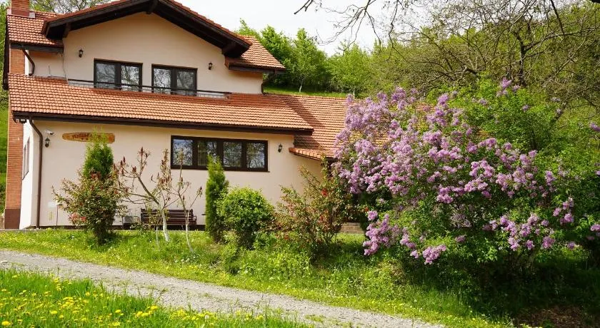 Pensiunea Ioana - Image 1