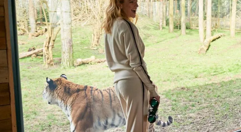 Tiger Lodge - At Port Lympne Hotel & Reserve - Image 1