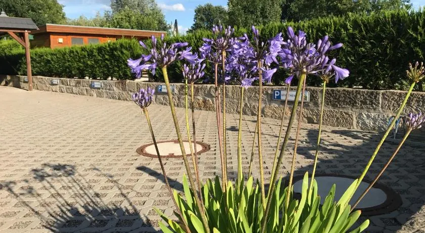 Kaitzbach-Idylle - Image 1