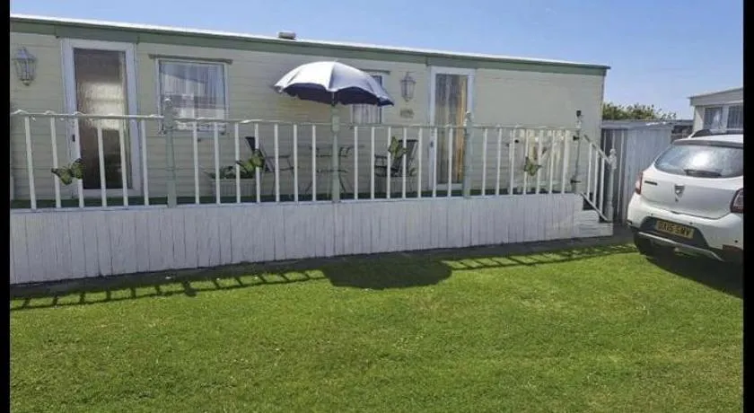 Sherwood golden palm - Image 1
