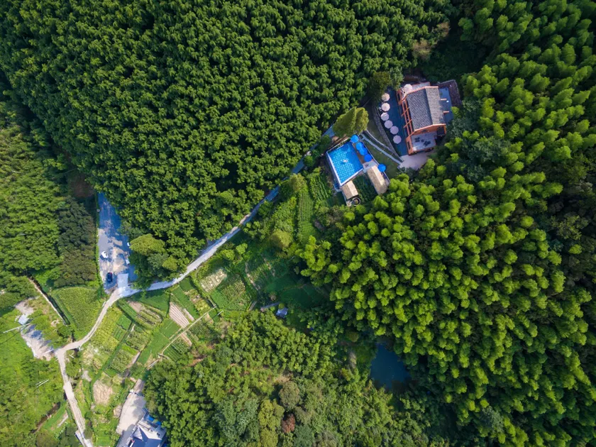 Moganshan Arcadia Resorts - Image 1