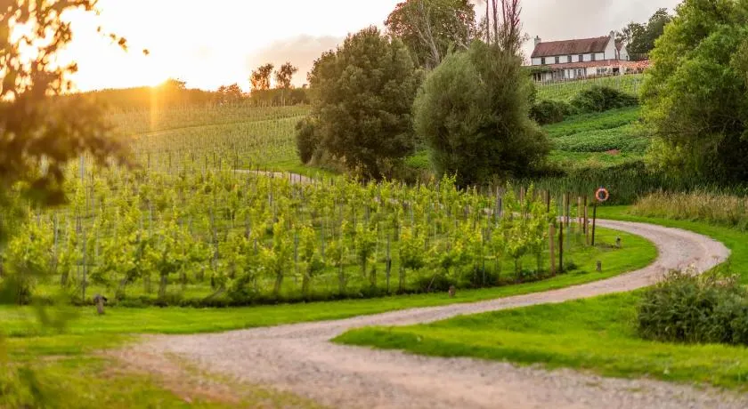 Three Choirs Vineyards - Image 1