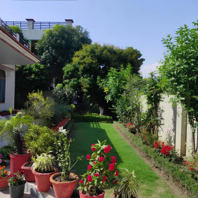Bora's Homestay - Image 1