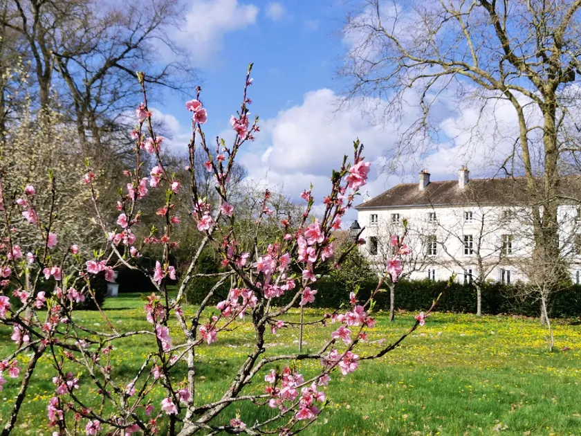 CHATEAU DE BRINVILLE - Image 1