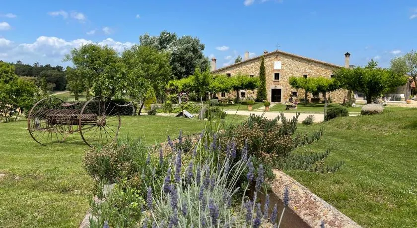 Más Figueres - Image 1