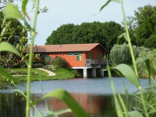Hajé Hotel Restaurant de Lepelaar - Image 1
