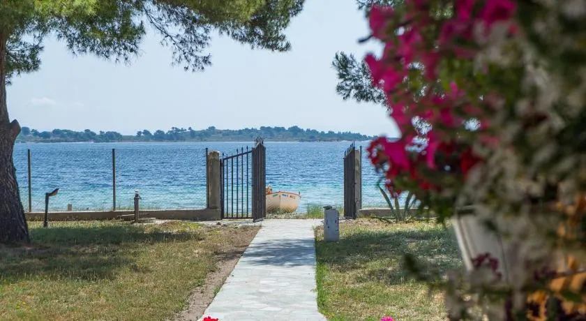 Diapori - Image 1