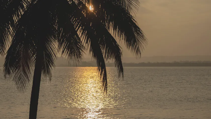 The Postcard on the Mandovi River, North Goa - Image 1
