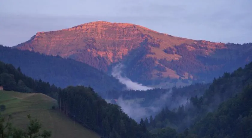 Hyggelig lejlighed med en drømmeudsigt over Hochgrat - Image 1