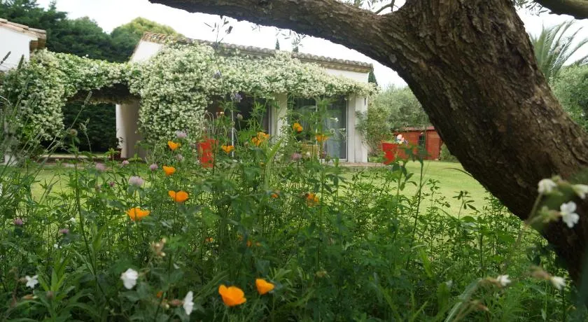 Studio au coeur de la petite camargue - Image 1