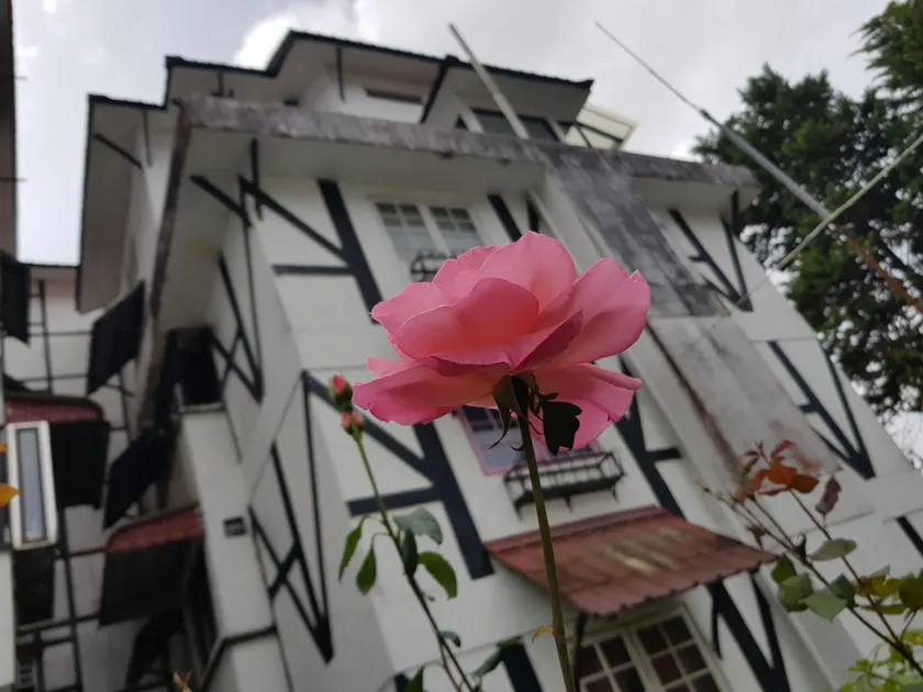 Amili's GuestHouse - Image 1