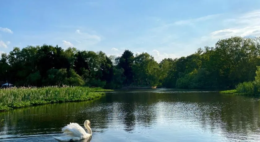 Lake View Lincoln - Image 1