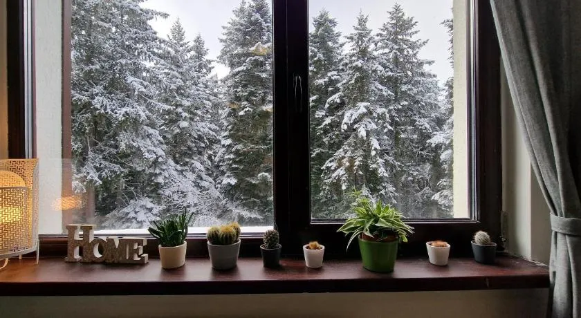 Pine Tree Apartment / Borovets Gardens - Image 1