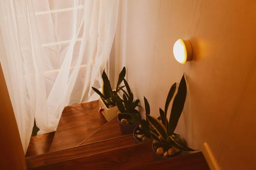Cozy Cabana - Image 1