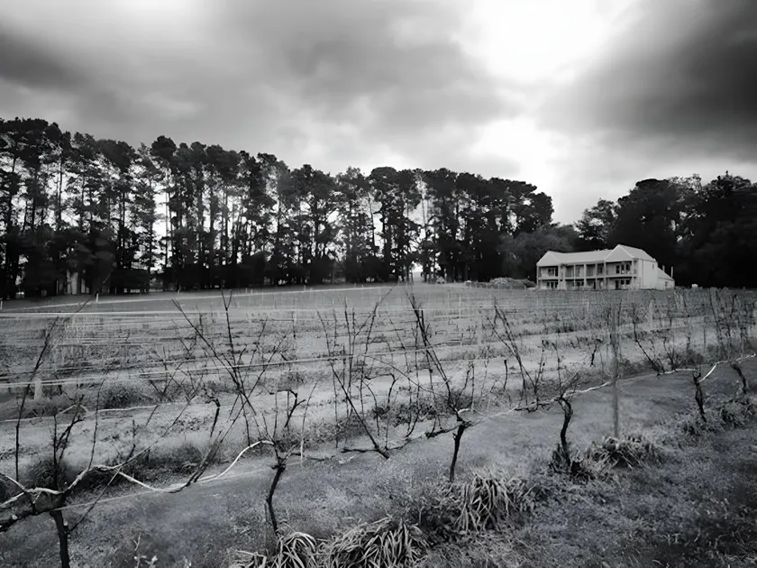 Mantons Creek Estate - Image 1
