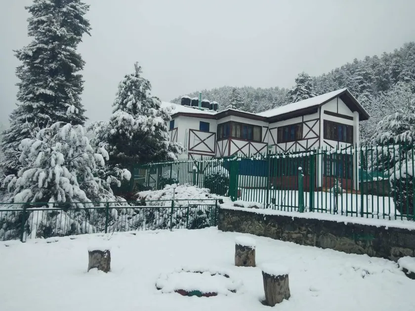 Walisons Peace Resort - Image 1