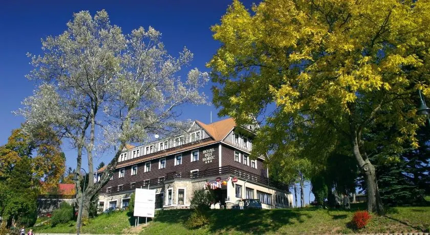 Spa Hotel Bily Horec - Image 1