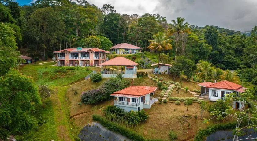 Colinas Tinamastes - Image 1