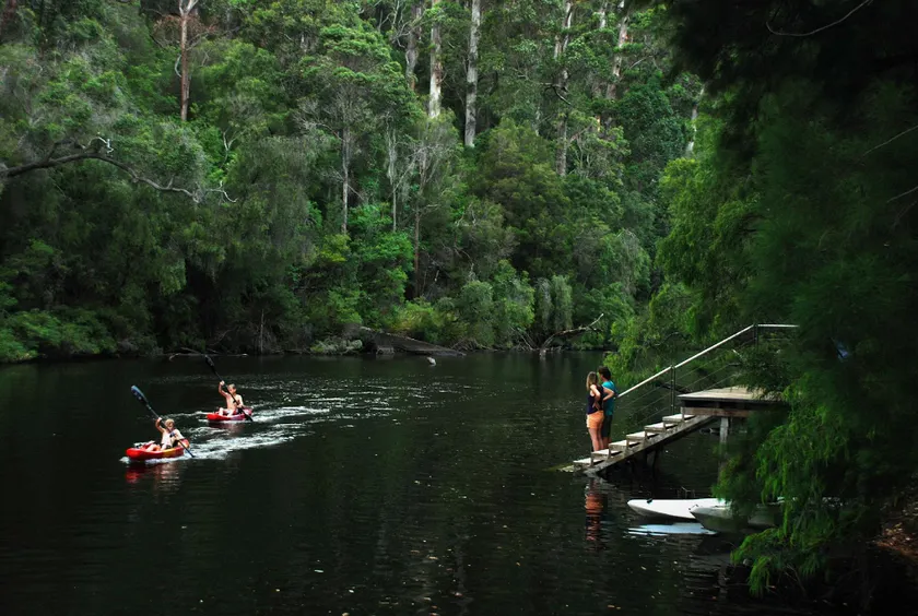 WA Wilderness Pemberton - Image 1