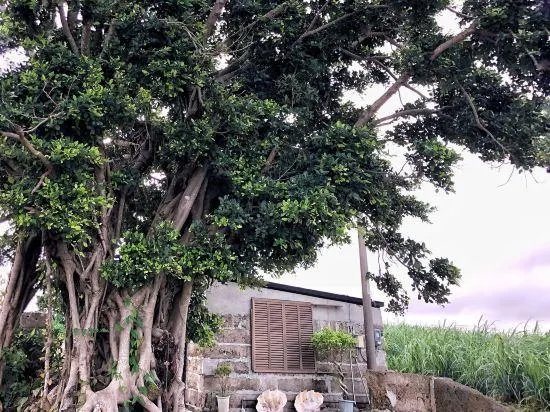 Villa Gazamani Aug,2019 Open!! For only one group a day - Image 1
