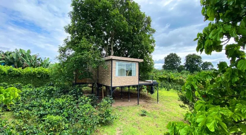 Casa del árbol con jacuzzi privado - Image 1