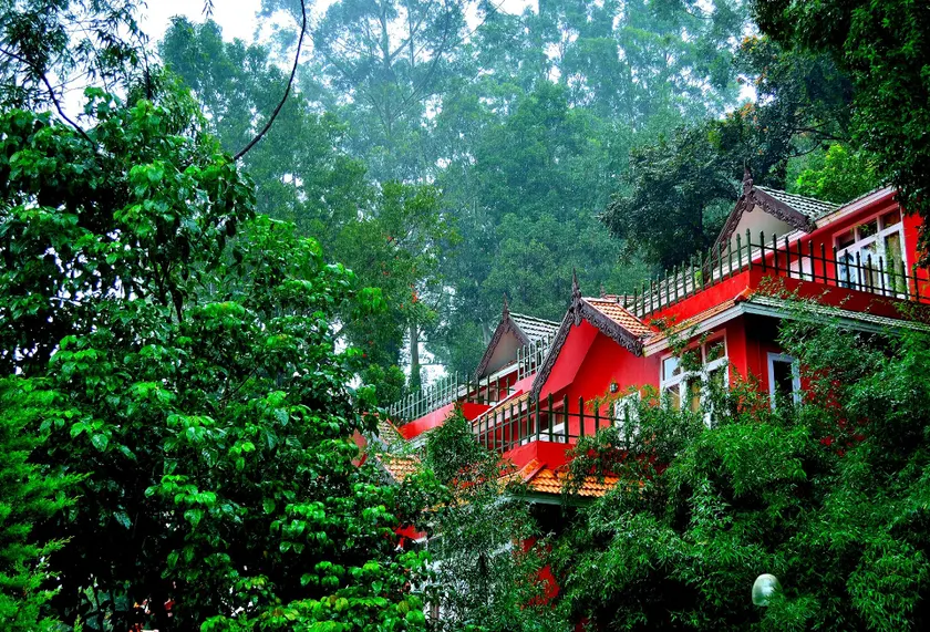 Tea Valley Resort, Munnar - Image 1