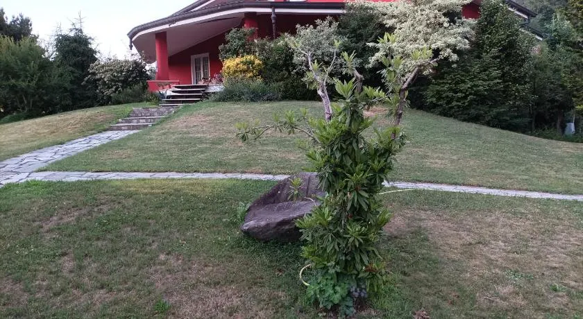 'L SASS - Image 1