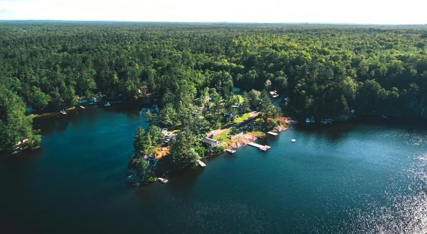 The Trace at Oak Lake (19+) - Image 1