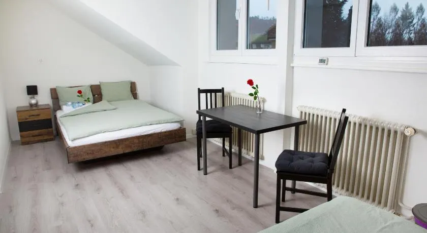 RUSTICO INN- Vintage Simple Rooms and Easy Parking direkt bei der OLMA nahe HSG und Spital - Image 1