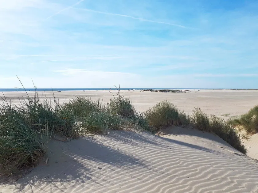 4 star holiday home in Rømø - Image 1