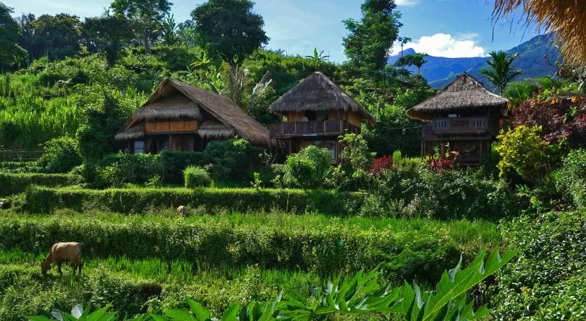 Rinjani Mountain Garden - Image 1