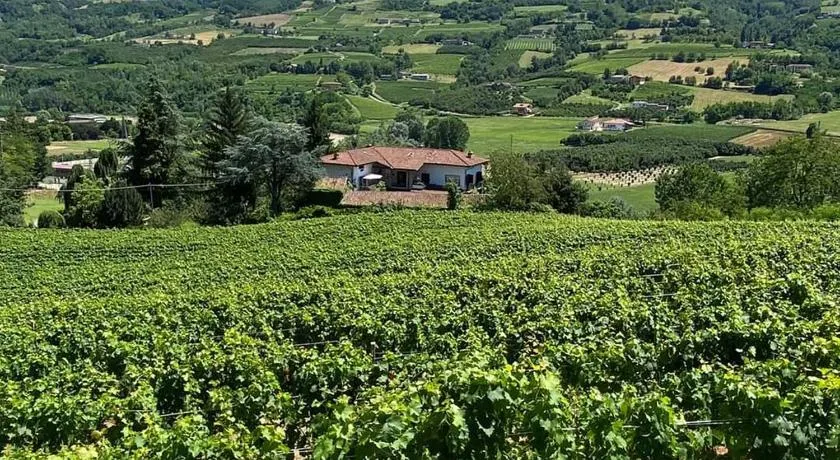 MAMOTA B&B - Image 1