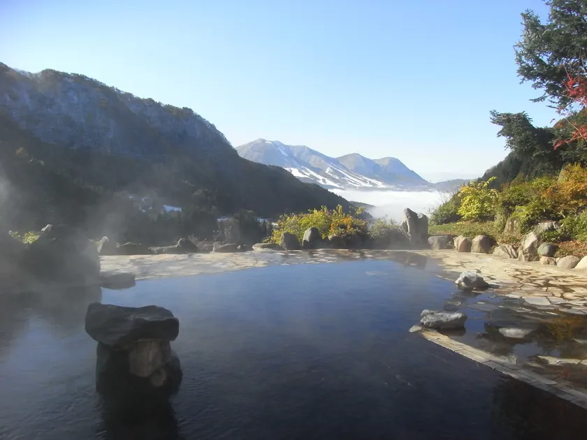 Maguse Onsen Nashinokiso - Image 1