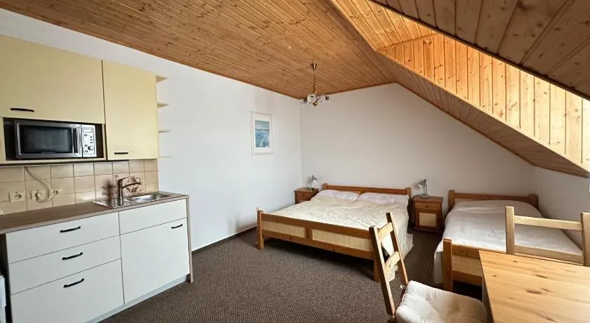 Apartmány v Müllerovom dome - Image 1