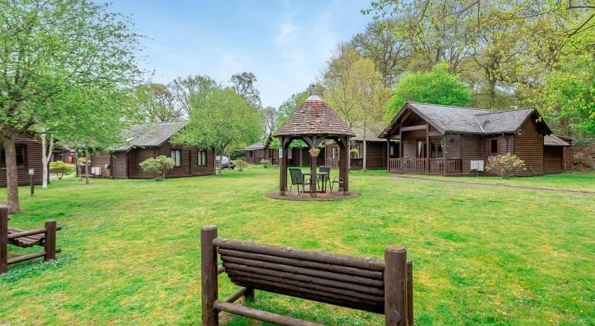Tilford Woods Lodge Retreat - Image 1