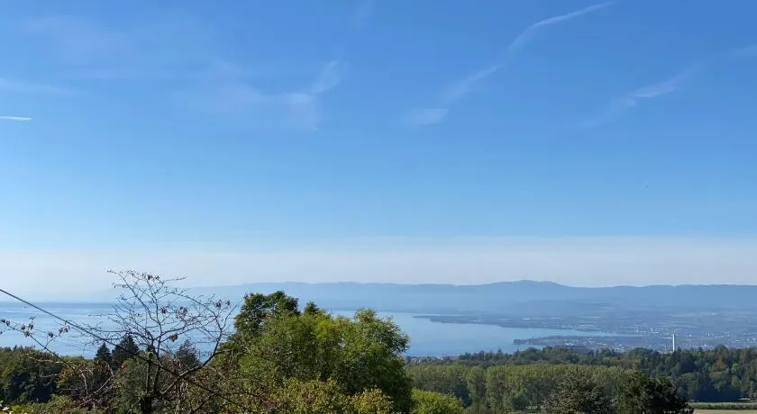 Petite maison à l'orée des bois vue magnifique sur le lac zenitude et plénitude - Image 1