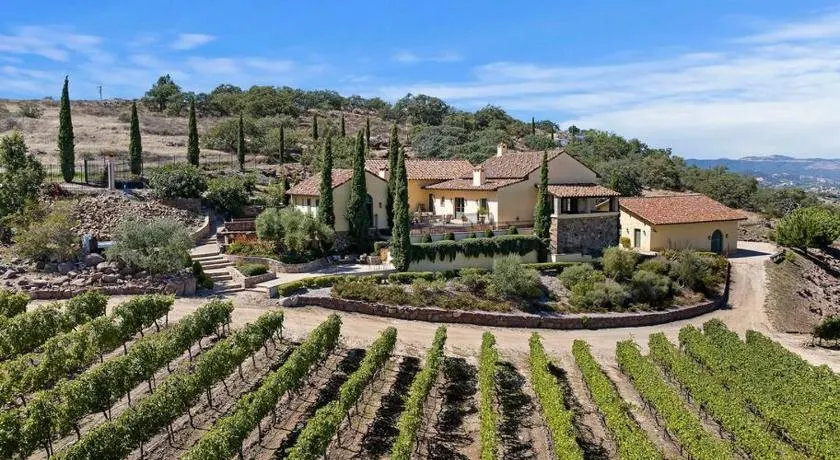 Tuscan Villa w/Vineyard Views! - Image 1